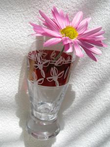 Pink beauty in a carved glass